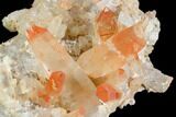 Natural, Red Quartz Crystal Cluster - Morocco #128062-1